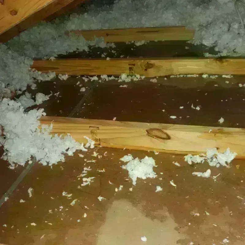 Attic Water Damage in Early County, GA