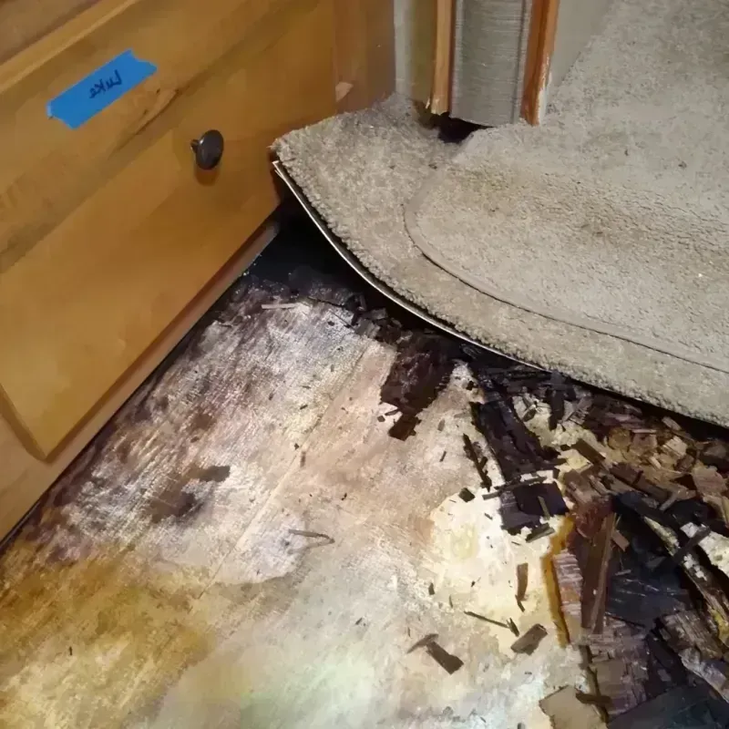 Best Wood Floor Water Damage Service in Early County, GA